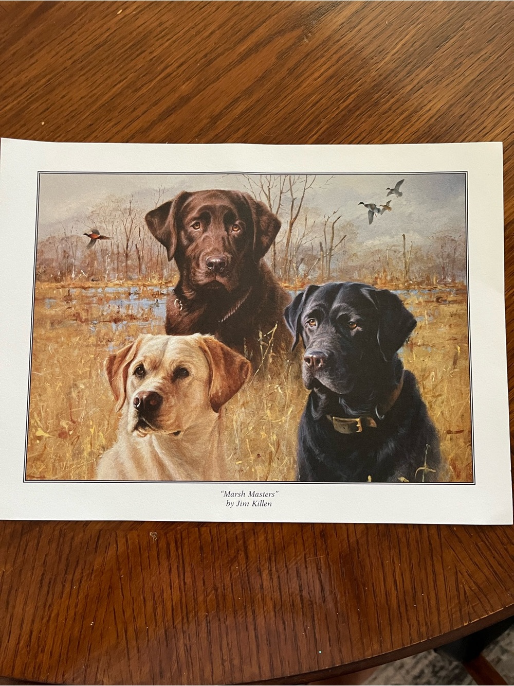 Jim Killen 'Marsh Masters' Labrador Art Print - Black, Chocolate, Yellow